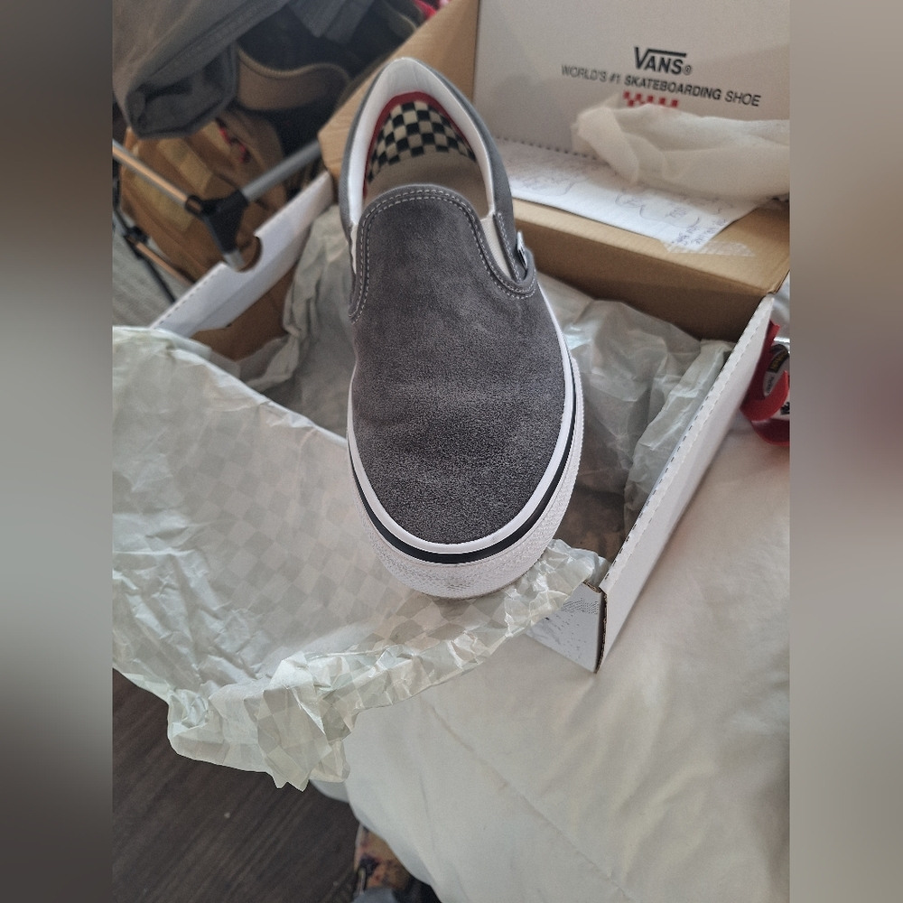 Vans Skate Slip Ons